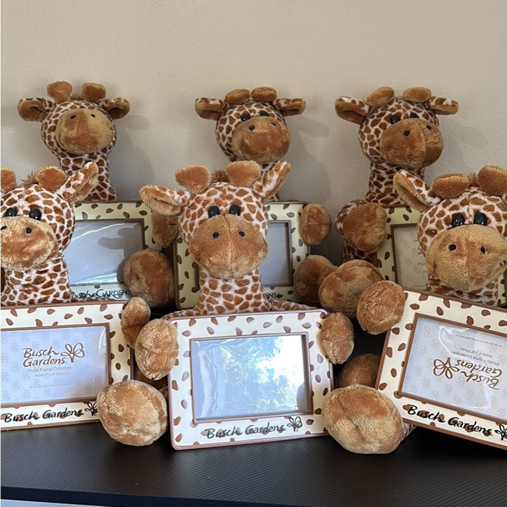 Busch garden’s giraffe 4x6 picture frames.